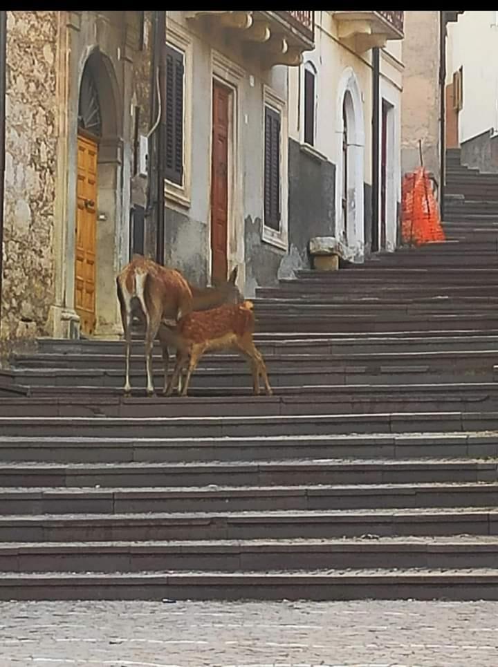 La Casetta Di Anna Villalago Dış mekan fotoğraf